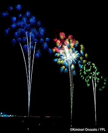 floral shell of shells_wide